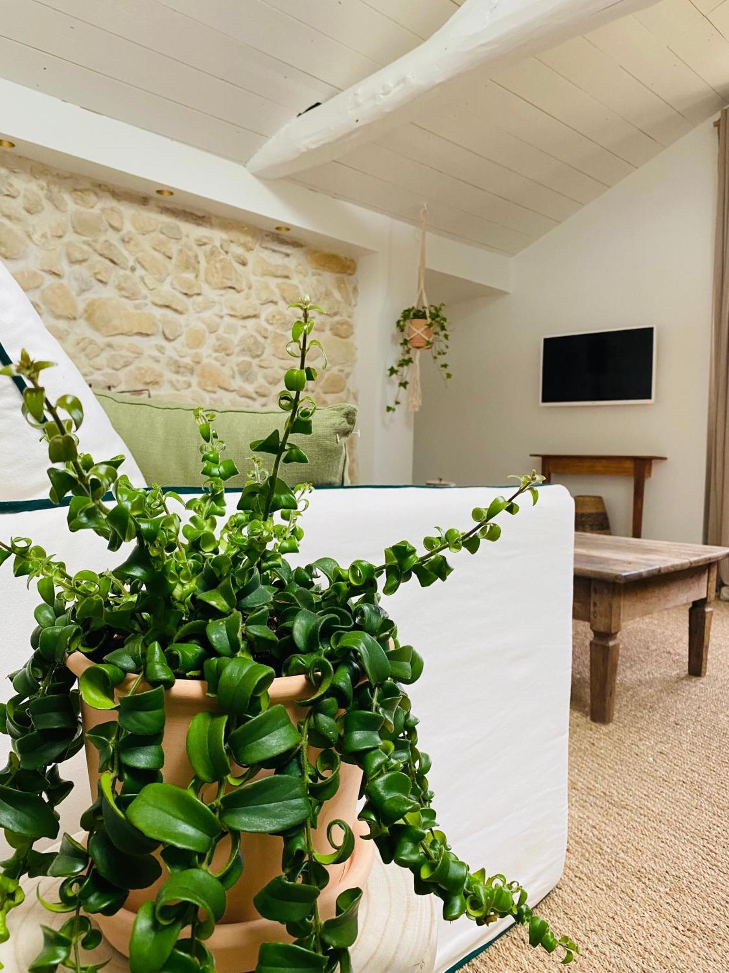 Ferienwohnung La Bastide De Guiche Entre Ocean Et Montagnes Exterior foto