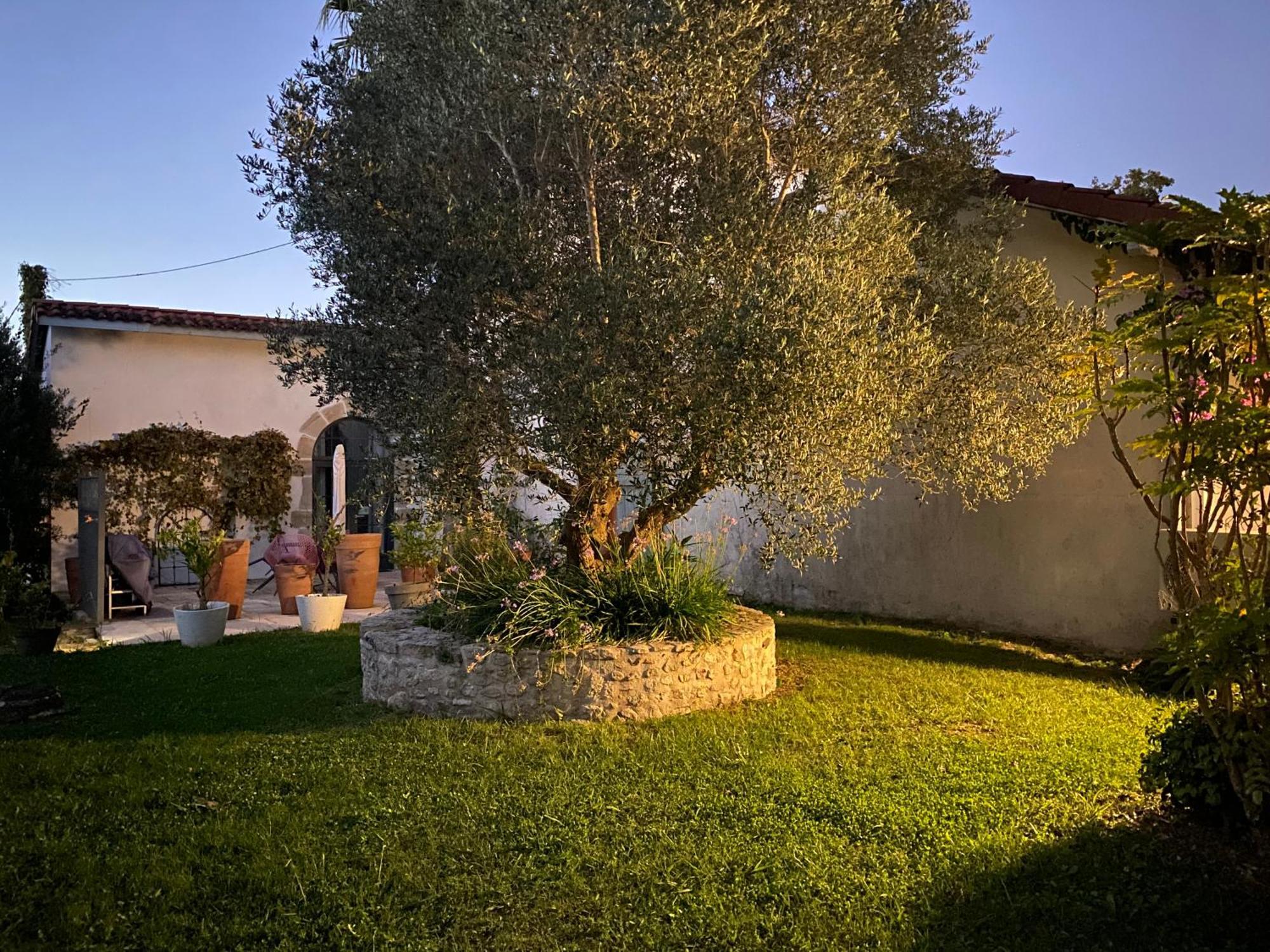 Ferienwohnung La Bastide De Guiche Entre Ocean Et Montagnes Exterior foto