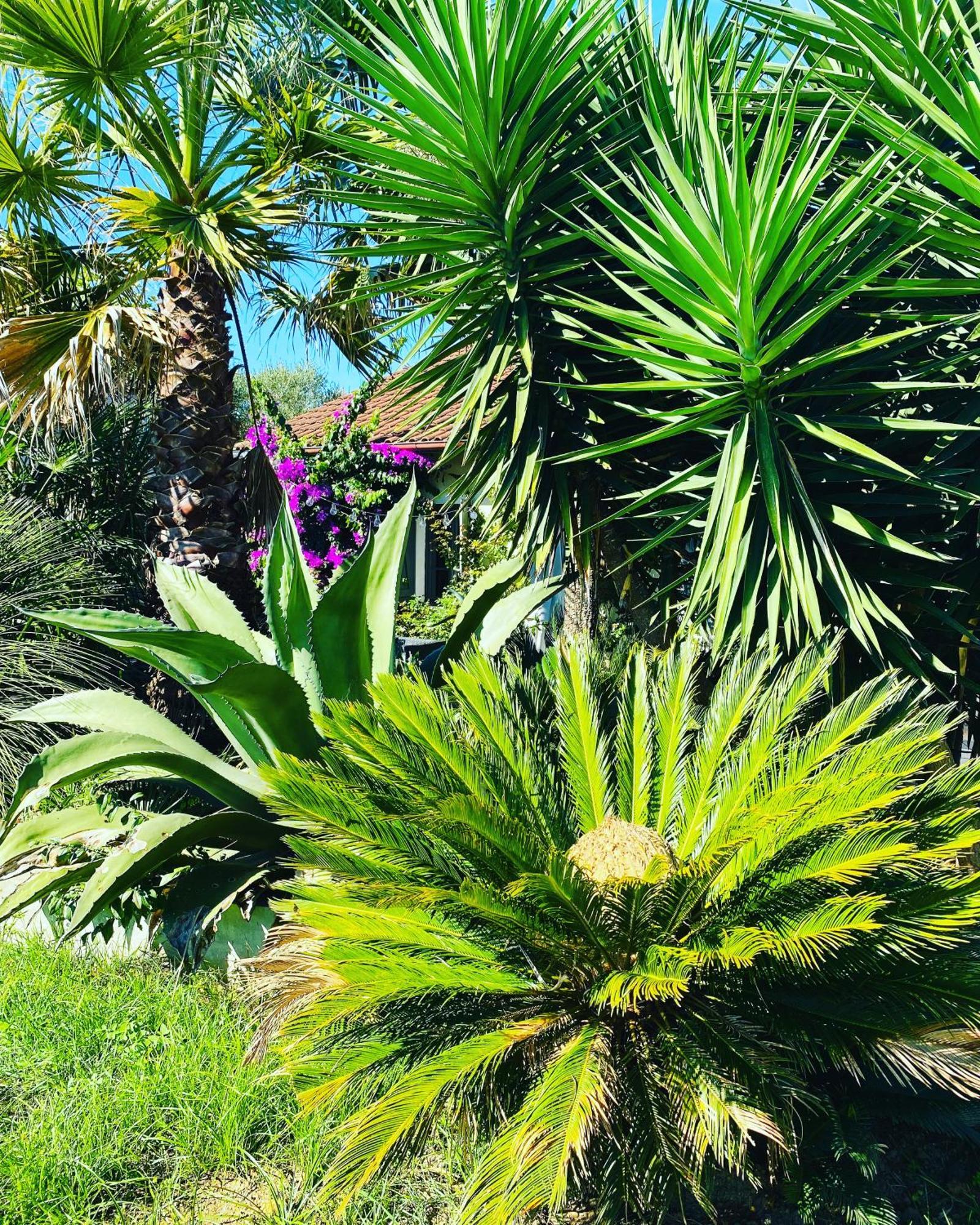 Ferienwohnung La Bastide De Guiche Entre Ocean Et Montagnes Exterior foto